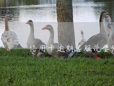 信用卡逾期客服说要停卡怎么办 信用卡逾期客服说要停卡怎么办