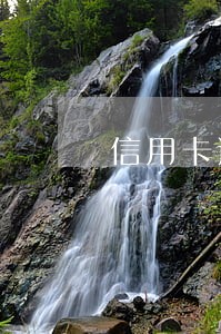 信用卡逾期客服问之前的收入水平 信用卡逾期客服问之前的收入水平