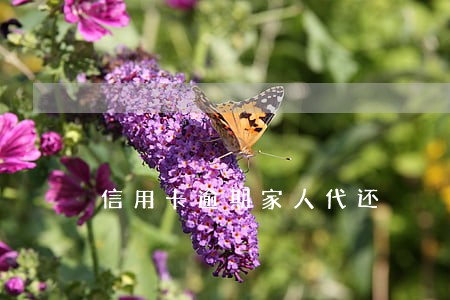 信用卡逾期家人代还 信用卡逾期家人代还