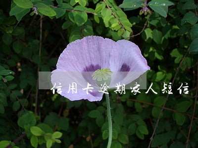 信用卡逾期家人短信 信用卡逾期家人短信