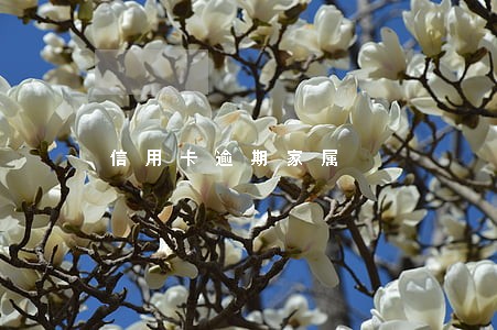 信用卡逾期家属 信用卡逾期家属
