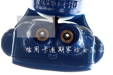 信用卡逾期家访会怎么样