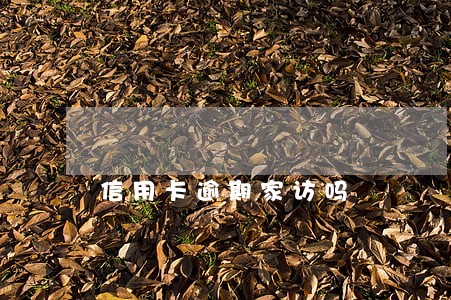 信用卡逾期家访吗
