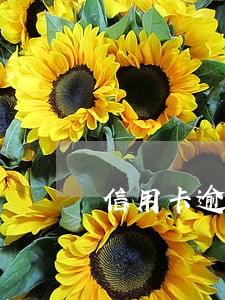 信用卡逾期家访流程 信用卡逾期家访流程