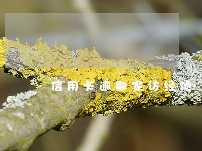 信用卡逾期家访经侦 信用卡逾期家访经侦
