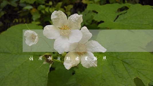 信用卡逾期家里拍照