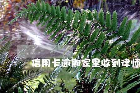 信用卡逾期家里收到律师函 信用卡逾期家里收到律师函