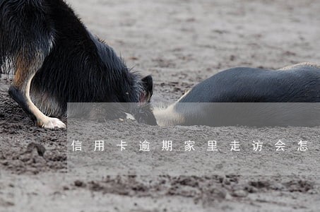 信用卡逾期家里走访会怎样 信用卡逾期家里走访会怎样