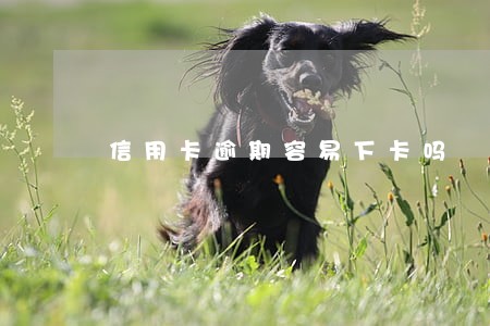 信用卡逾期容易下卡吗 信用卡逾期容易下卡吗