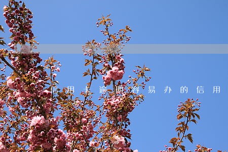 信用卡逾期容易办的信用卡 信用卡逾期容易办的信用卡