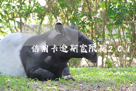 信用卡逾期宽限期2018 信用卡逾期宽限期2018
