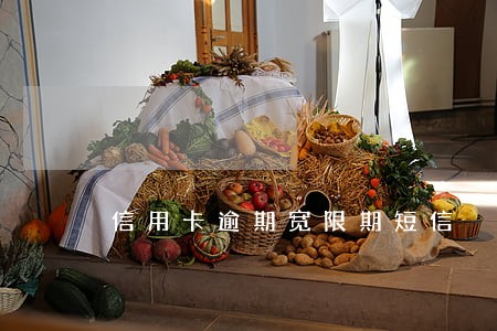 信用卡逾期宽限期短信