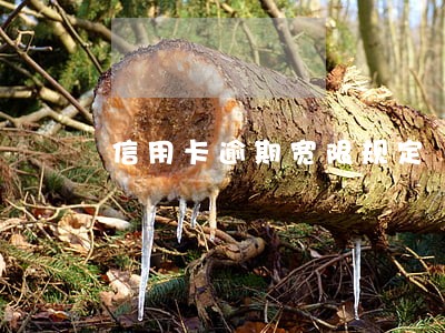 信用卡逾期宽限规定 信用卡逾期宽限规定