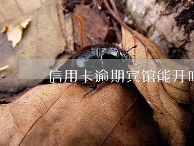 信用卡逾期宾馆能开吗