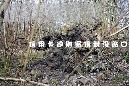 信用卡逾期寄信封没贴口 信用卡逾期寄信封没贴口