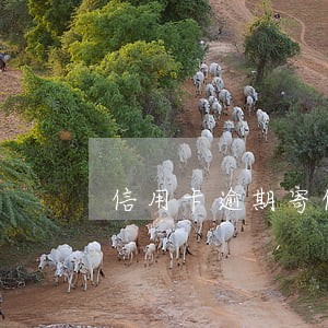 信用卡逾期寄信给单位