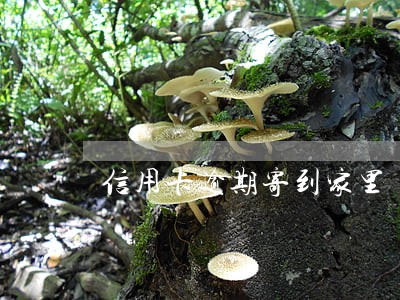 信用卡逾期寄到家里 信用卡逾期寄到家里