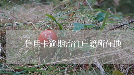 信用卡逾期寄往户籍所在地 信用卡逾期寄往户籍所在地