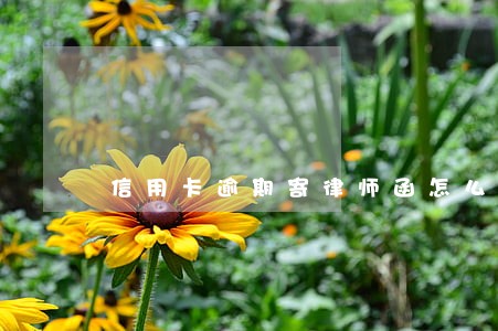信用卡逾期寄律师函怎么办 信用卡逾期寄律师函怎么办