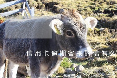 信用卡逾期寄来的信怎么办 信用卡逾期寄来的信怎么办