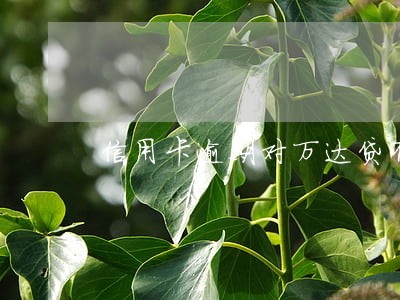 信用卡逾期对万达贷有影响吗