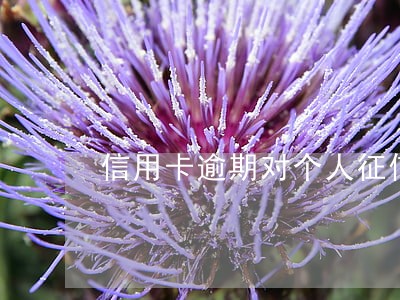 信用卡逾期对个人征信有影响 信用卡逾期对个人征信有影响