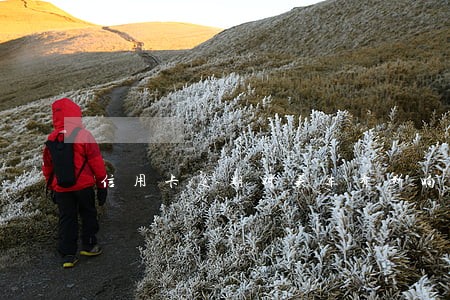 信用卡逾期对买车有影响吗