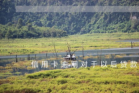 信用卡逾期对于以后贷款 信用卡逾期对于以后贷款