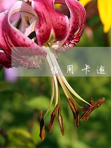 信用卡逾期对京东有影响的吗 信用卡逾期对京东有影响的吗