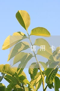 信用卡逾期对低保有影响吗 信用卡逾期对低保有影响吗