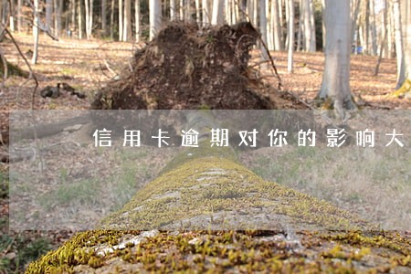 信用卡逾期对你的影响大吗