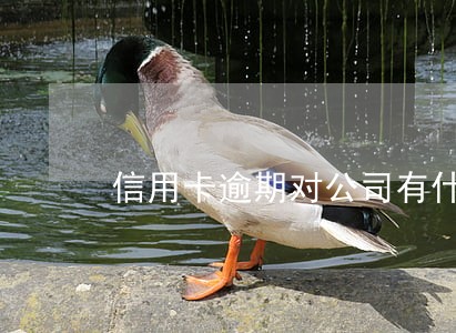 信用卡逾期对公司有什么影响 信用卡逾期对公司有什么影响