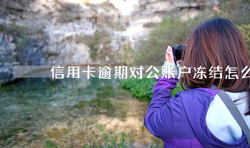 信用卡逾期对公账户冻结怎么办