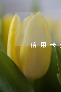 信用卡逾期对公账户影响 信用卡逾期对公账户影响
