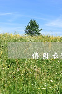 信用卡逾期对前夫妻的影响 信用卡逾期对前夫妻的影响