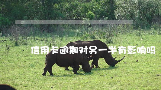 信用卡逾期对另一半有影响吗 信用卡逾期对另一半有影响吗