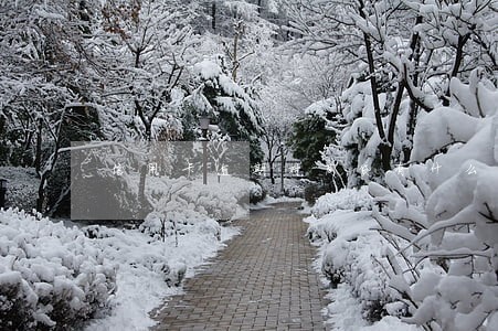 信用卡逾期对商贷有什么影响