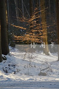 信用卡逾期对坐飞机有影响吗 信用卡逾期对坐飞机有影响吗