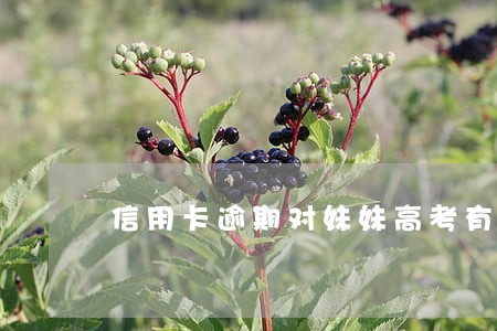 信用卡逾期对妹妹高考有影响吗 信用卡逾期对妹妹高考有影响吗