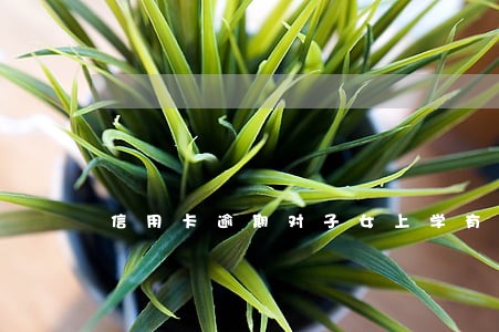 信用卡逾期对子女上学有什么后果 信用卡逾期对子女上学有什么后果
