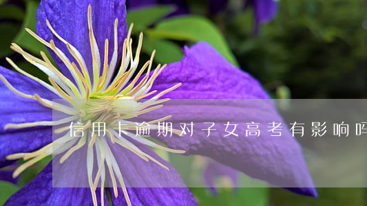 信用卡逾期对子女高考有影响吗 信用卡逾期对子女高考有影响吗
