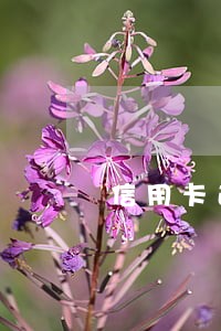 信用卡逾期对孩子上学有影响 信用卡逾期对孩子上学有影响