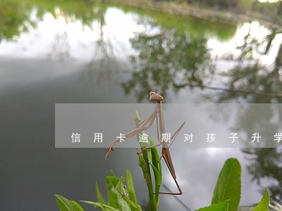 信用卡逾期对孩子升学有影响吗