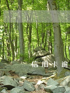 信用卡逾期对孩子有哪些影响 信用卡逾期对孩子有哪些影响