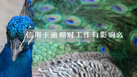信用卡逾期对工作有影响么 信用卡逾期对工作有影响么