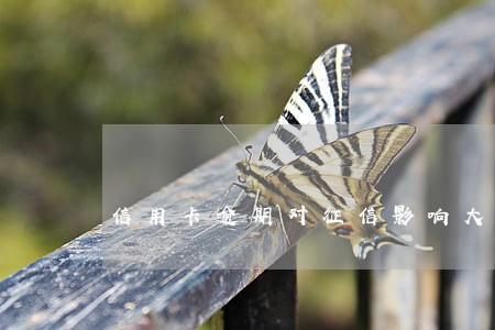 信用卡逾期对征信影响大么 信用卡逾期对征信影响大么