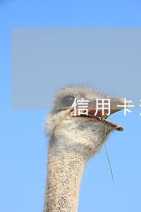 信用卡逾期对我找工作有影响吗
