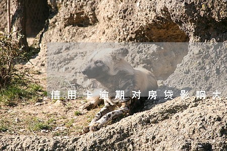 信用卡逾期对房贷影响大吗 信用卡逾期对房贷影响大吗