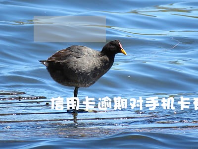 信用卡逾期对手机卡有影响吗 信用卡逾期对手机卡有影响吗