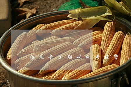信用卡逾期对报考辅警 信用卡逾期对报考辅警